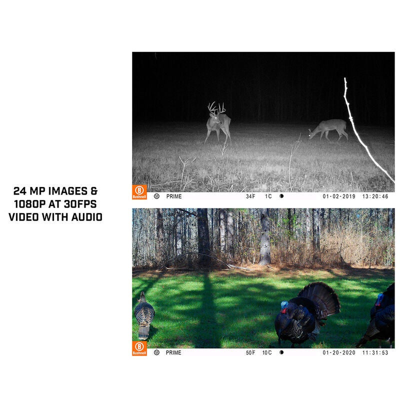 Bushnell Prime Low Glow Trail Camera (Model: 119932M)