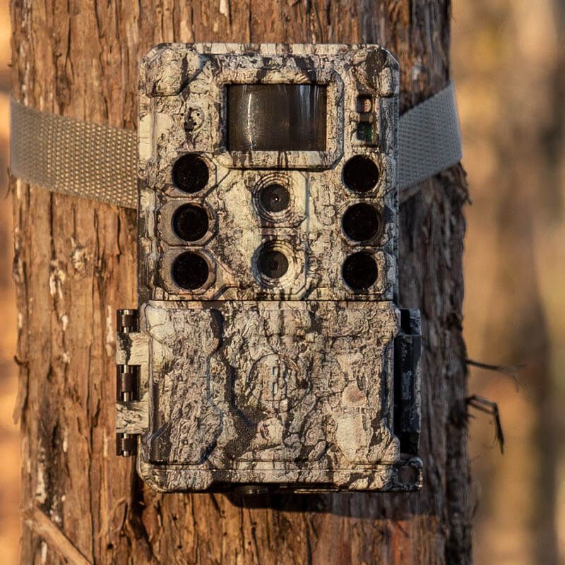 Bushnell Core™ DS-4K No Glow Trail Camera (119987C) / (119987M)
