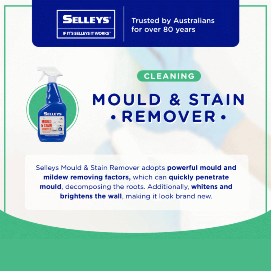 Selleys Mould & Stain Remover Spray 750ml | Black Mould, Mildew & Grime Cleaner