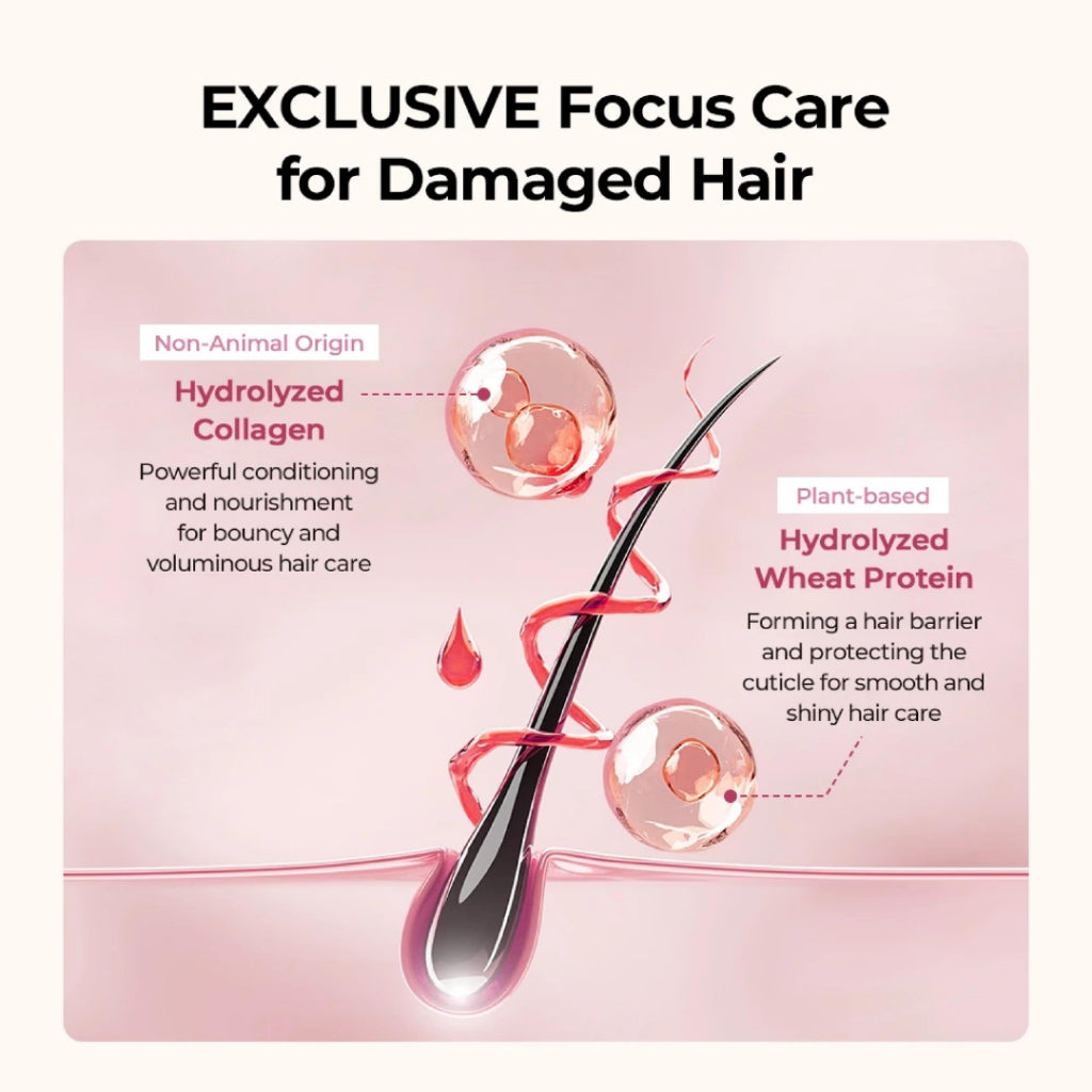 JULYME Perfume Hair Shampoo 500ml | Damage Care Keratin | Anti Hair Loss, Frizzy Hair Solution, Smooth & Shine | Korea