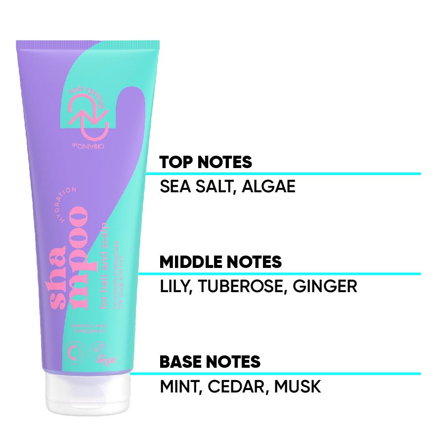 ONLYBIO Hair Cycling Hydration Shampoo for Hair & Scalp | Moisturizing Scalp Care Shampoo for Dry, Frizzy & Damaged Hair
