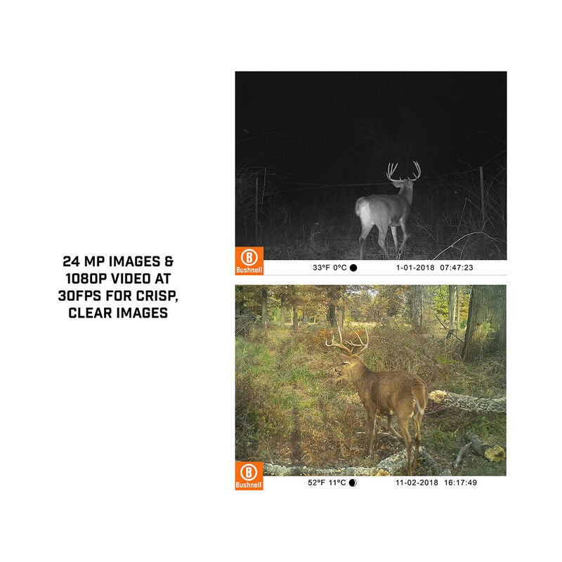 Bushnell Core™ No Glow Trail Camera (Model: 119938M)